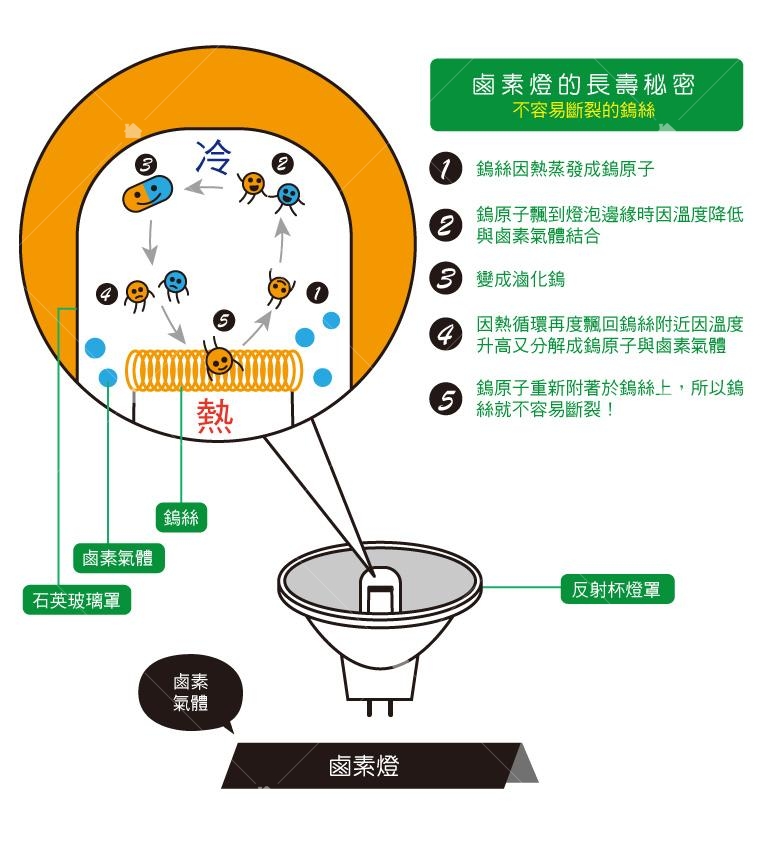 鹵素燈的構造