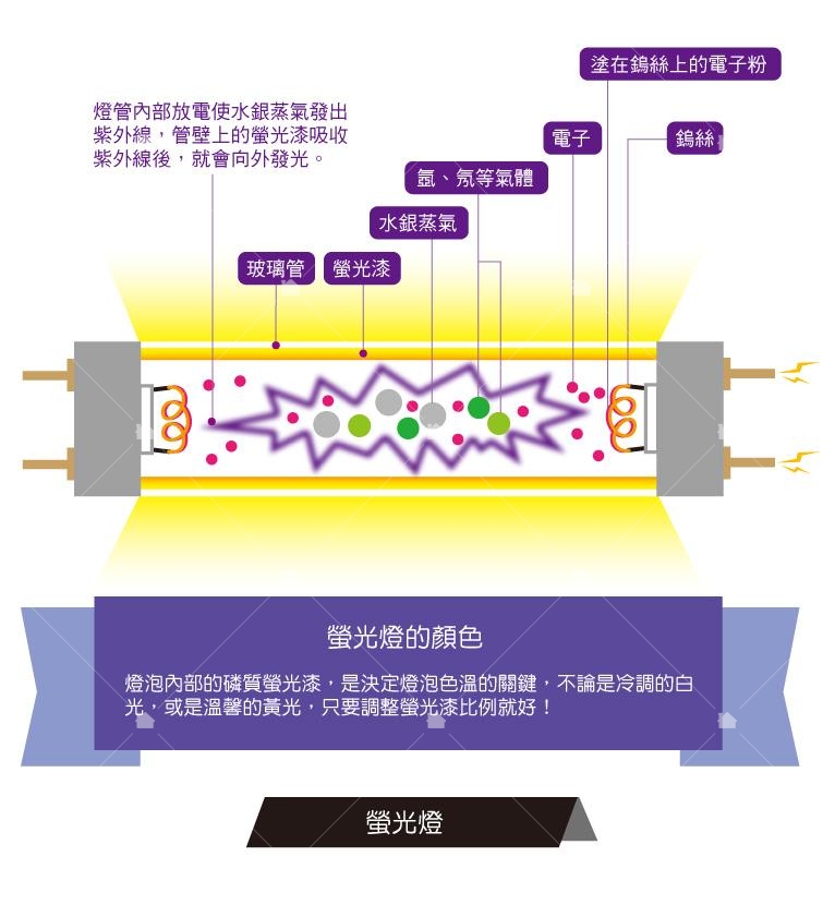 螢光燈結構