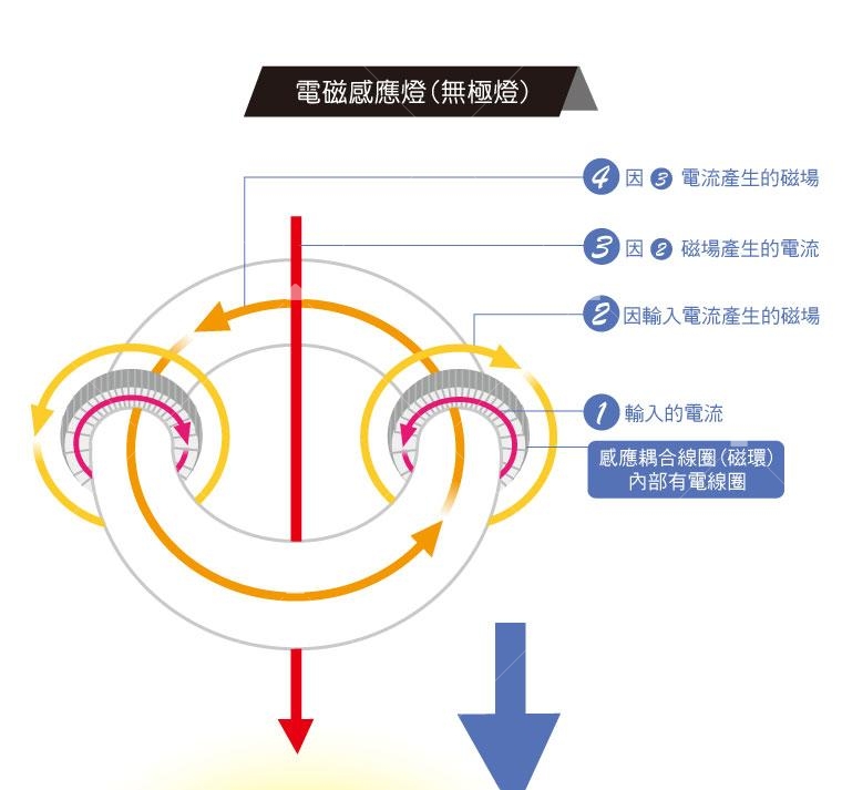 電磁感應燈/無極燈結構