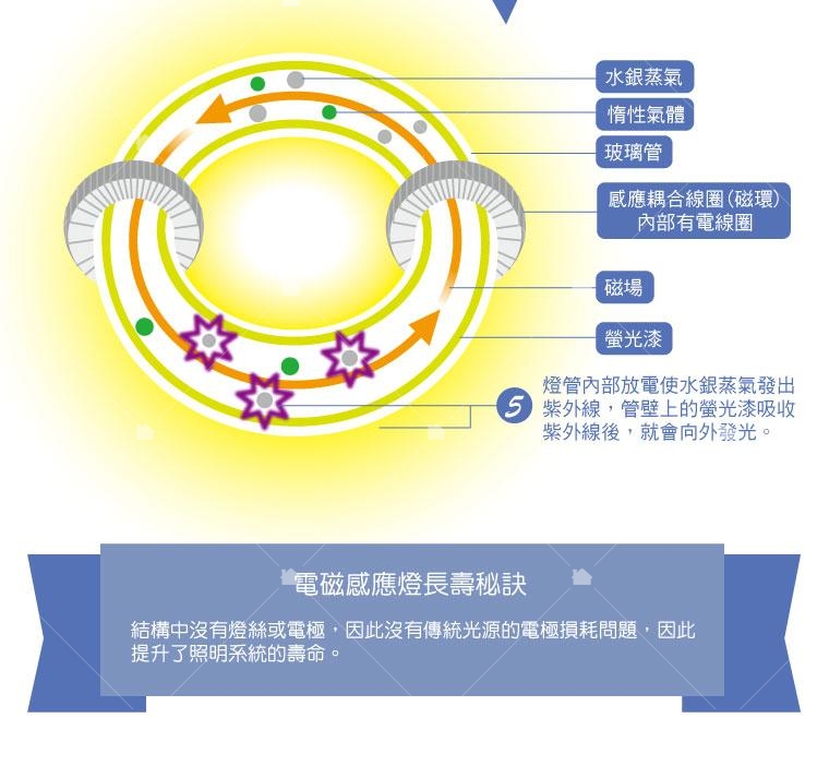 電磁感應燈/無極燈結構