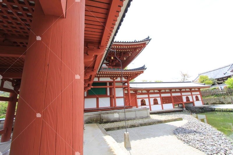 日本京都平等院