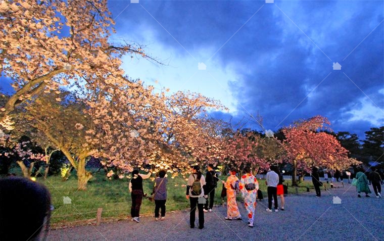 京都御所