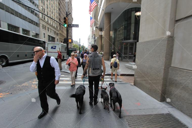 華爾街wall street街景