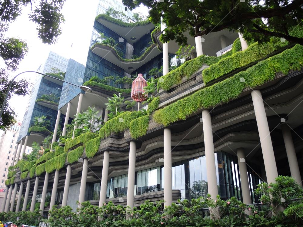 6片小徑的下方是無邊際泳池與空中花園，紅色像鳥籠一樣的裝置是客人談天說地的好空間。